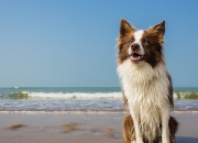 英雄联盟总决赛时间-战术回忆录那一夜，基米希是如何让斯坦福桥陷入寂静的—一场跨越时空的对决推演