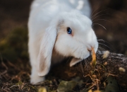 LOL决赛-F1街道赛巅峰对决，美国如何重新定义现代街道赛，让摩纳哥黯然失色