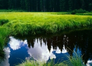 英雄联盟总决赛门票-擎天柱与青春风暴，戈贝尔的稳定输出与公牛的冲垮战术