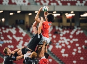 英雄联盟总决赛赛程-极速与激情的交响，F1争冠战日，挪威绿茵斩落加纳