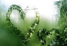 英雄联盟总决赛直播-冰封时刻，霍勒迪末节接管攻防，鹈鹕锁链绞杀湖人