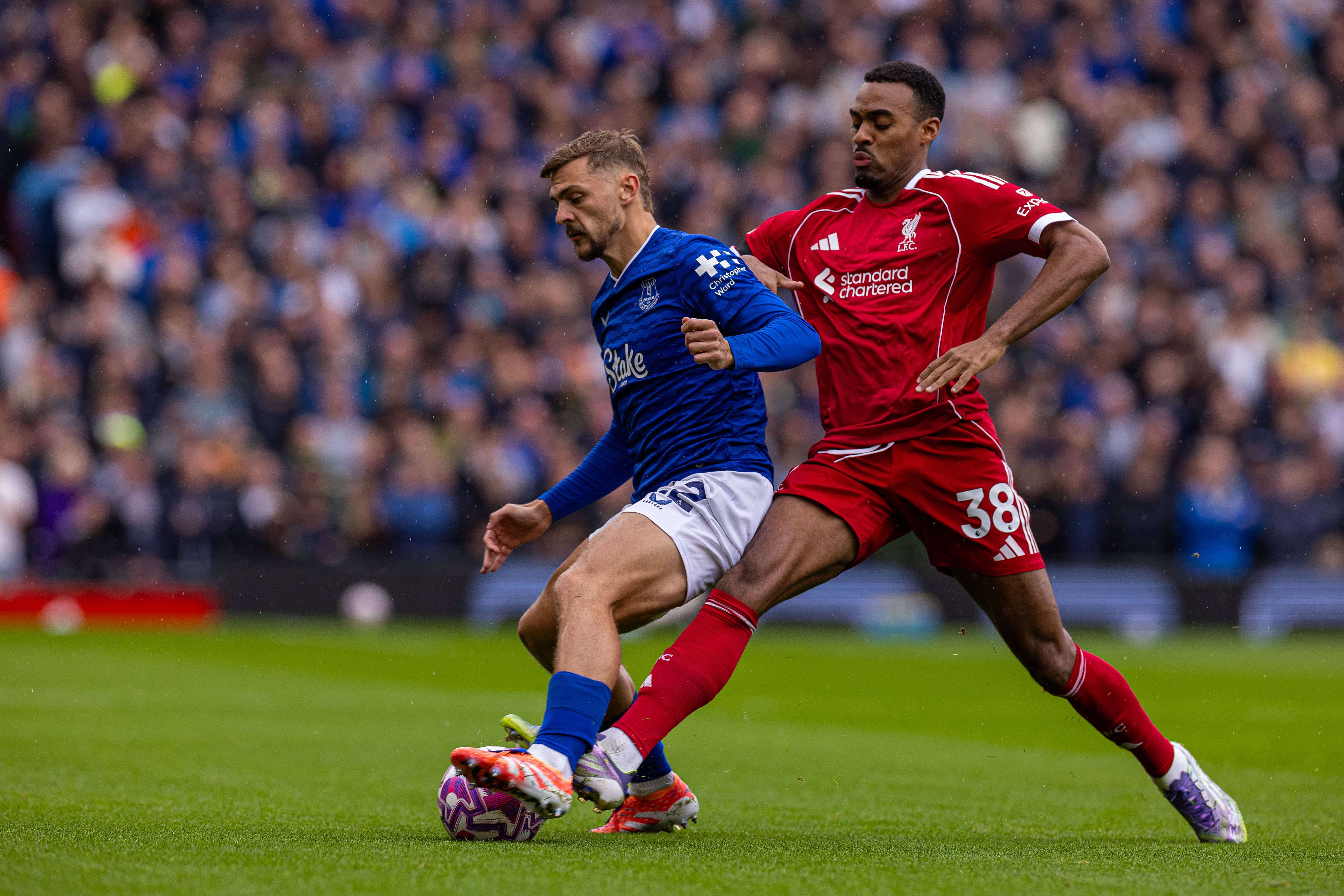 关于布莱顿主场逼平西汉姆联，保持不败的信息