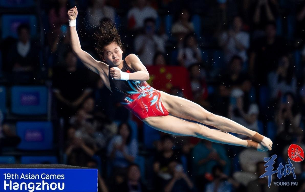 跳水项目选手表现稳健，成绩可圈可点的简单介绍