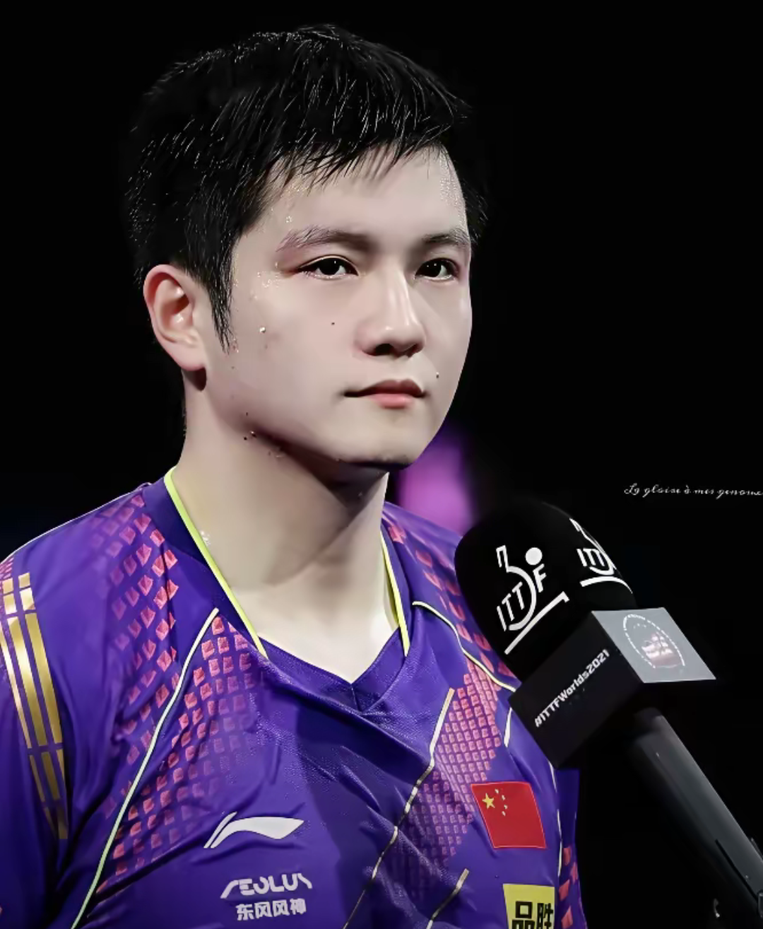 葡萄牙队翻盘奥地利队,樊振东状态火热的简单介绍 葡萄牙队翻盘奥地利队,樊振东状态火热的简单介绍