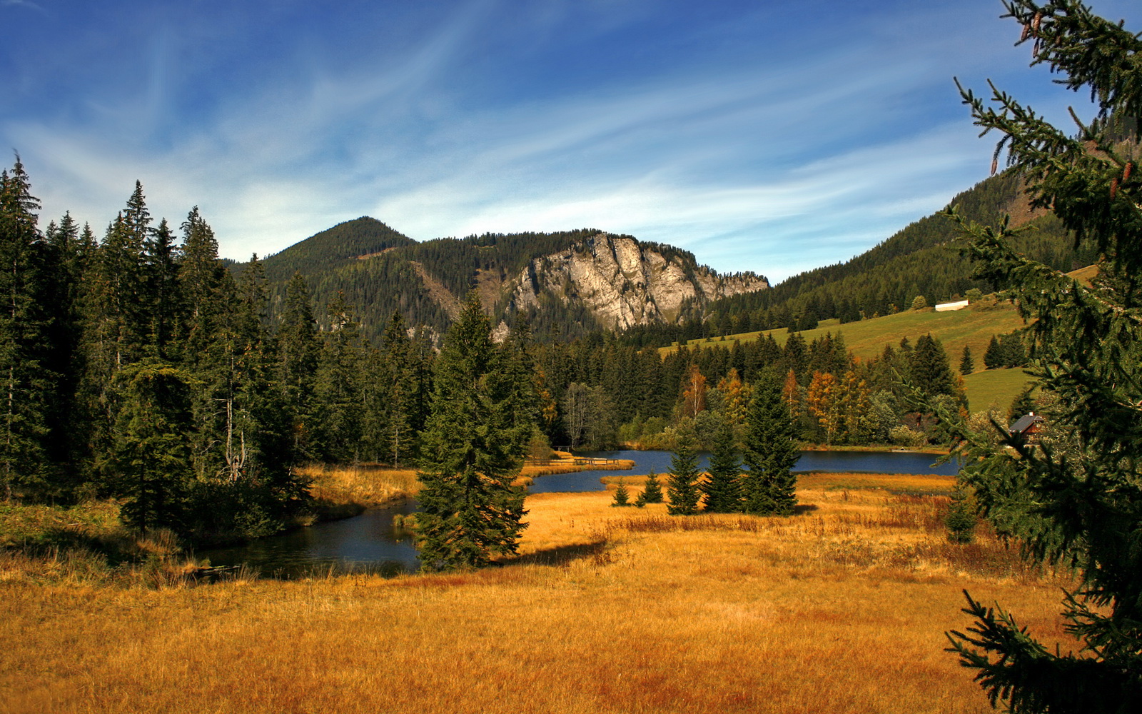 暂停之间，当尼日利亚按下命运静音键，穆勒在欧冠的喧嚣中重启时间