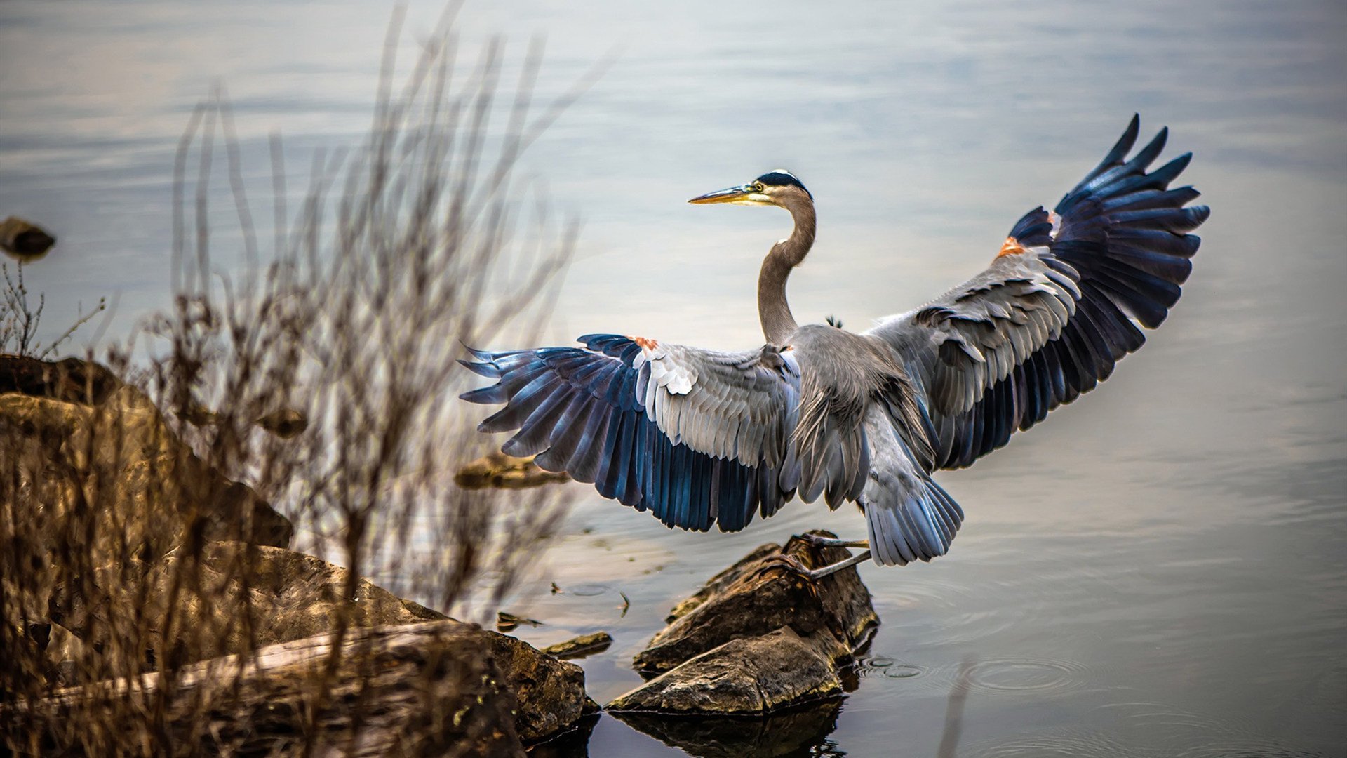 飓风与齿轮,当个人英雄主义遭遇团队风暴