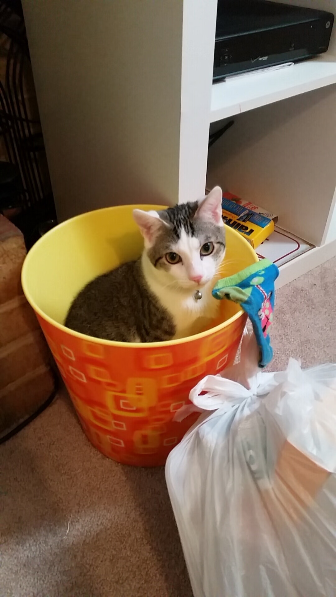 我看到您将NBA球员马克西(通常指泰雷斯·马克西)与CBA球队广东队放在了一起。这很可能是一个跨越联赛的有趣想象,或是某个特定混合赛事的情景