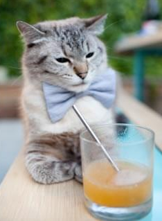 末节绞杀与关键先生，米切尔的唯一性三证—快船逆转绿军启示录