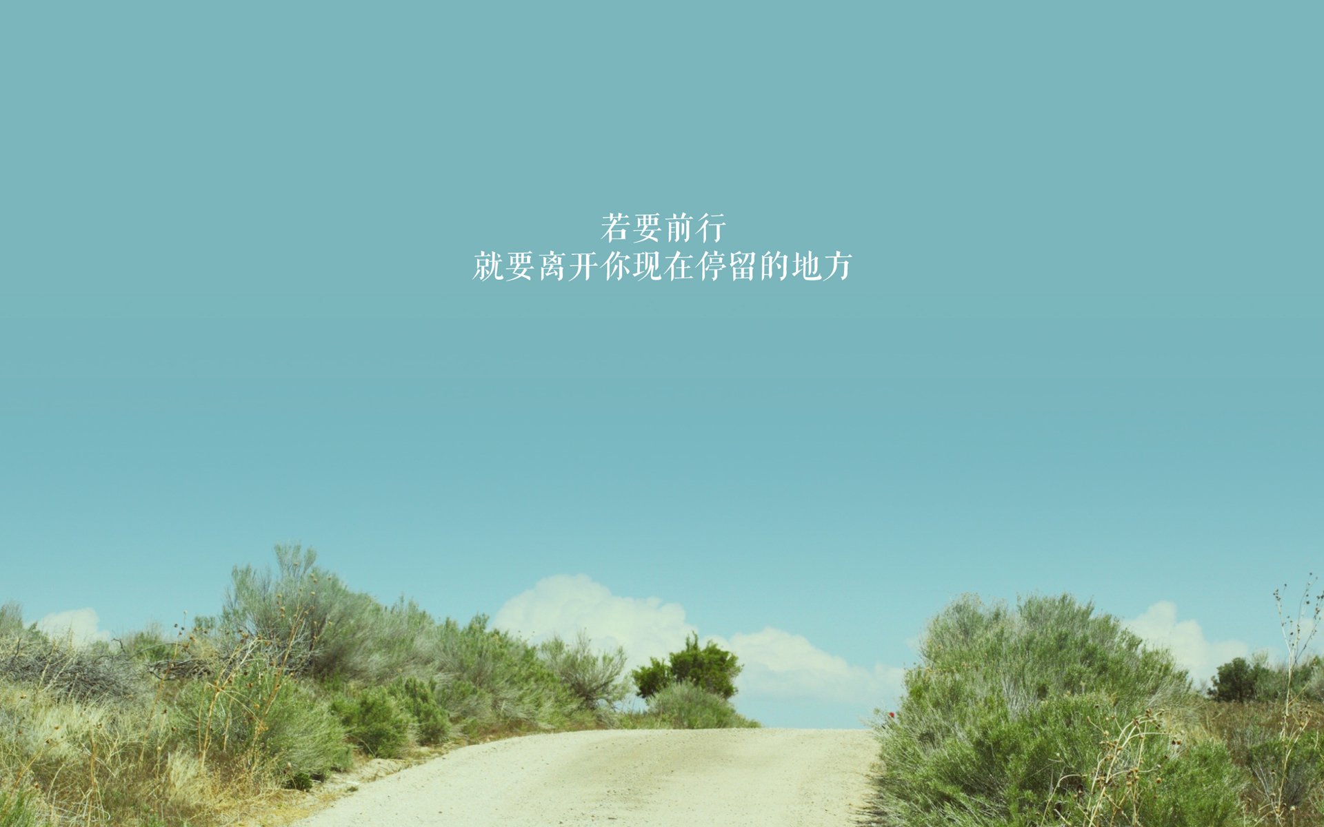 实力证明，范弗利特带领森林狼击败吉林队