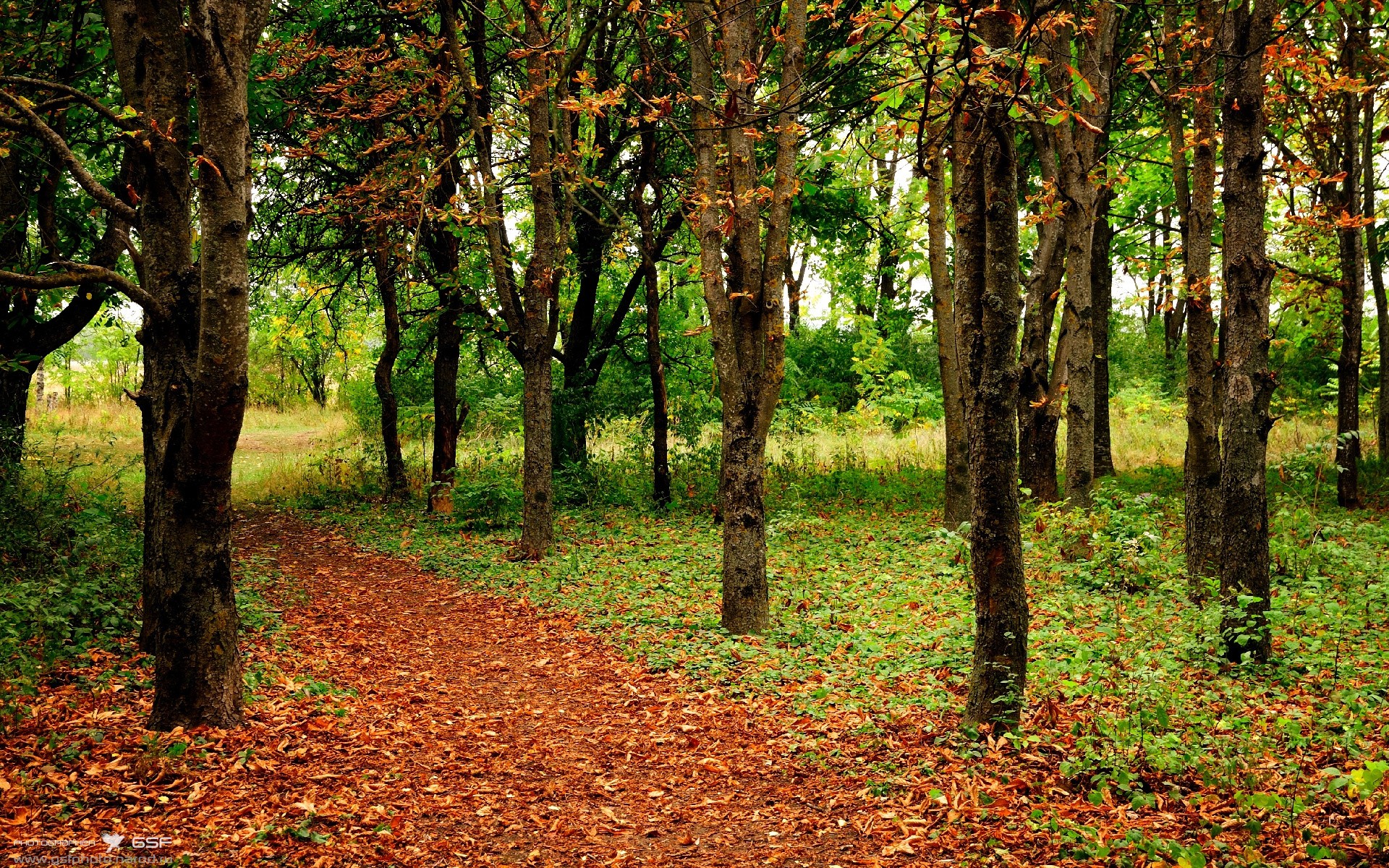 一个夜晚的两种奇迹,贝蒂斯的地面闪电,与贝林厄姆的星空接管