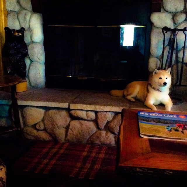 大脑与引擎，范弗利特如何用攻防转换扼住灰熊的喉咙