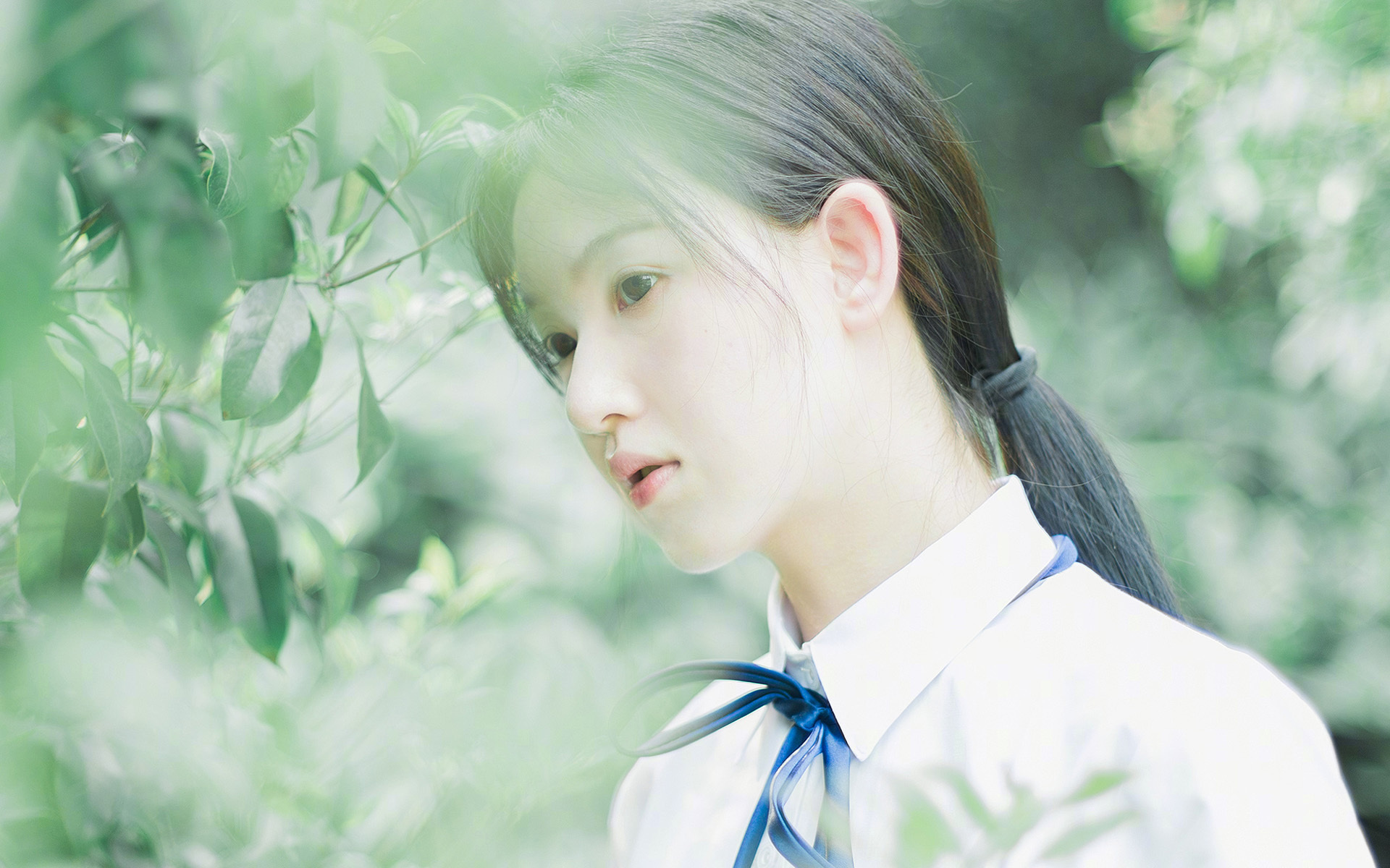 极速与激情的交响，F1争冠战日，挪威绿茵斩落加纳