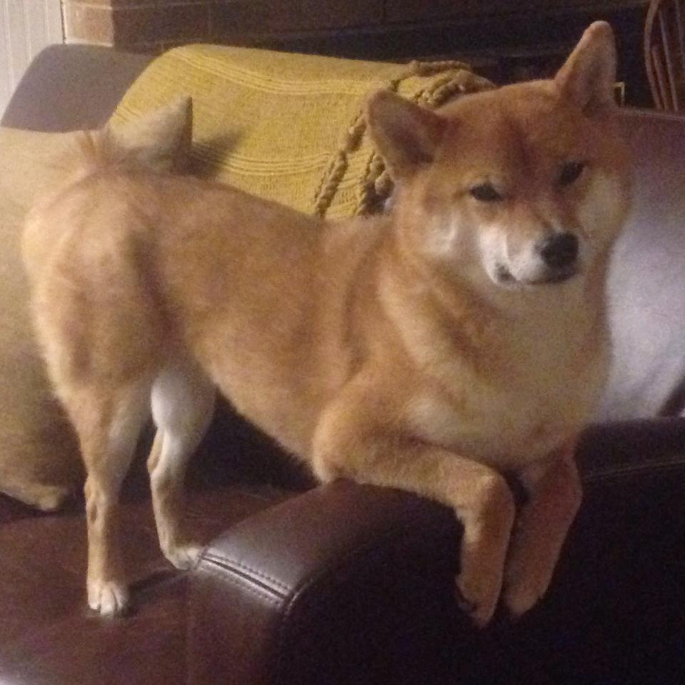 绝境再造神迹，C罗唯一一次助天蓝军团力克蓝月