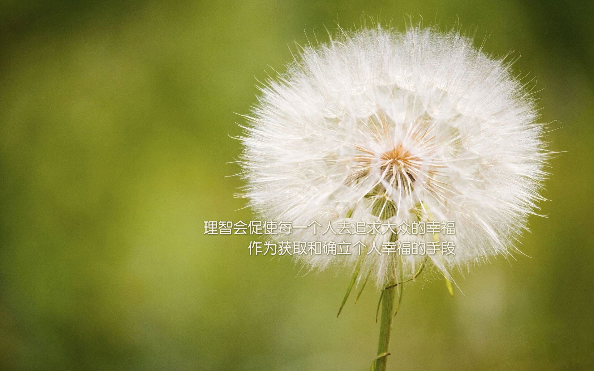 活塞式节奏绞杀广厦，浓眉化身关键先生定乾坤