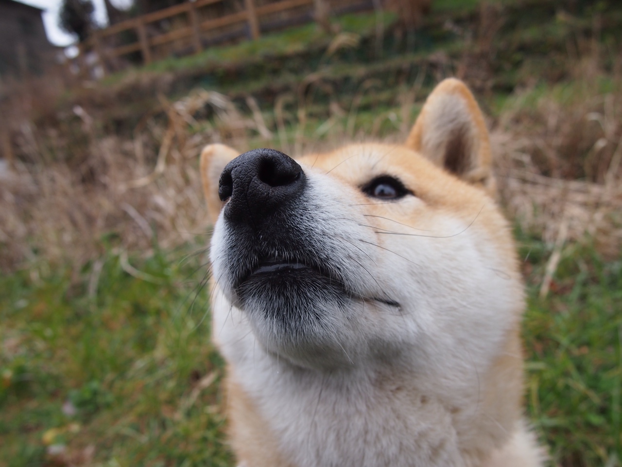 北欧冰刃破风而出！博塔斯巴林制霸，芬兰力压英格兰揭幕战称王