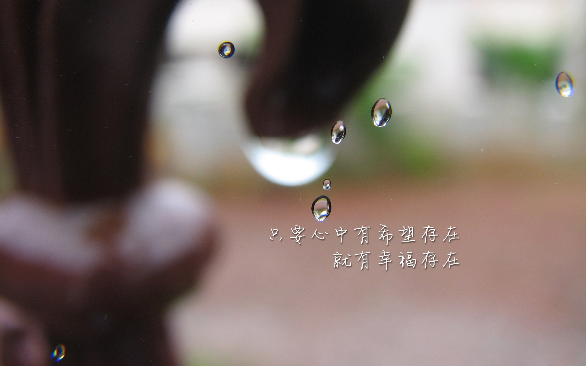 唯一的王