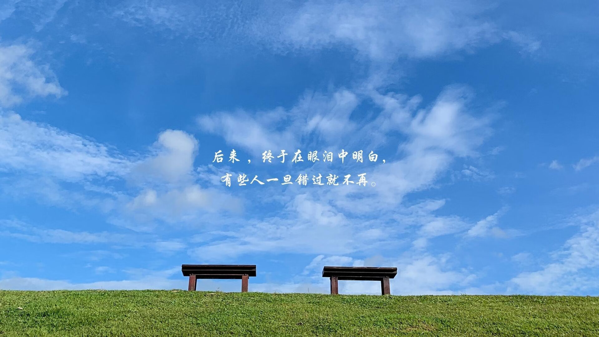 午夜逆袭,当日本武士刀刺穿丹麦童话,巴雷拉的阴影统治了2026世界杯B组之夜